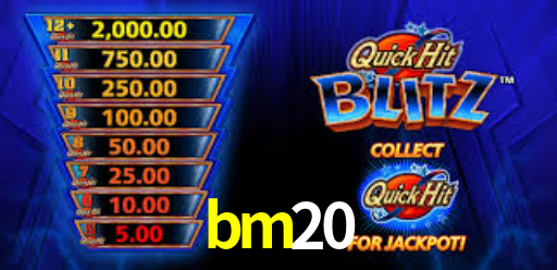 Interface Premium bm20